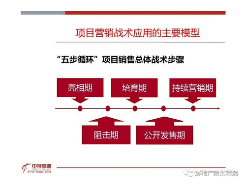 房地產(chǎn)營(yíng)銷策劃 思路精髓與實(shí)踐指南